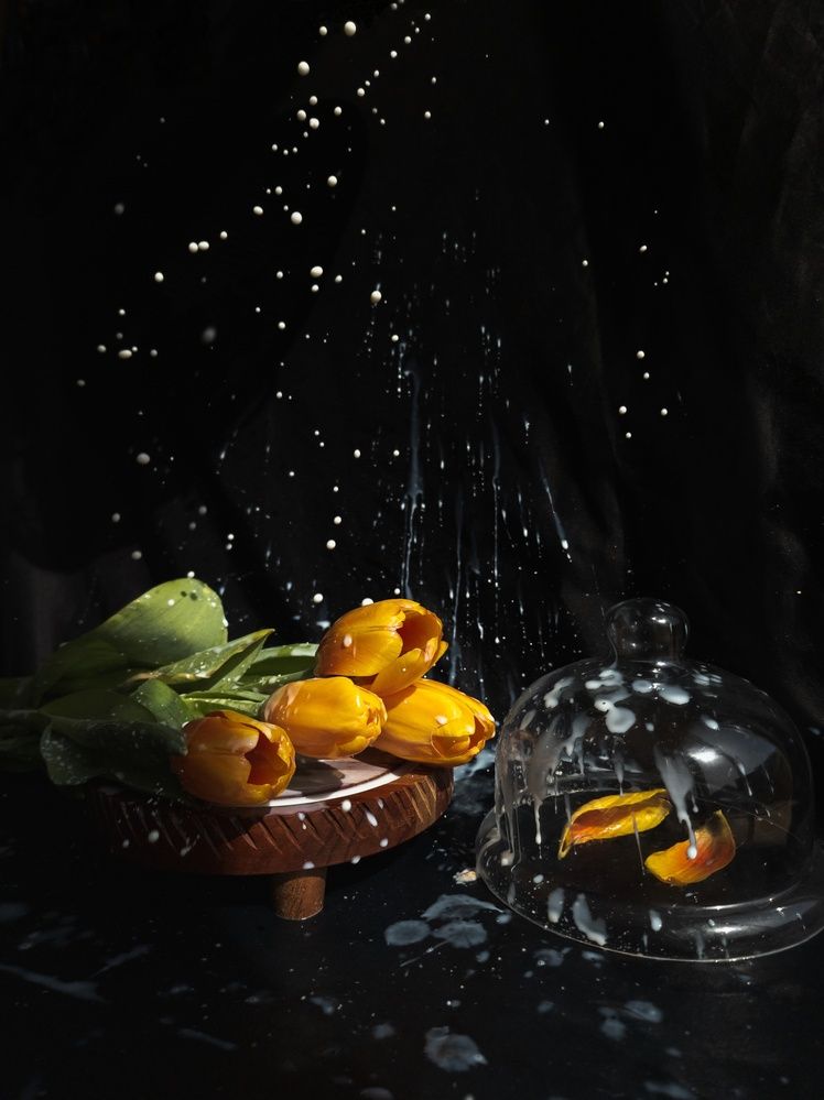 Фотография автора Anastasia Nikolenko