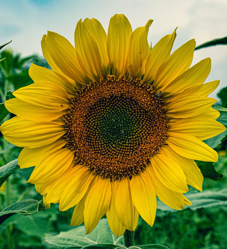 Photograph by Альберт Габбасов