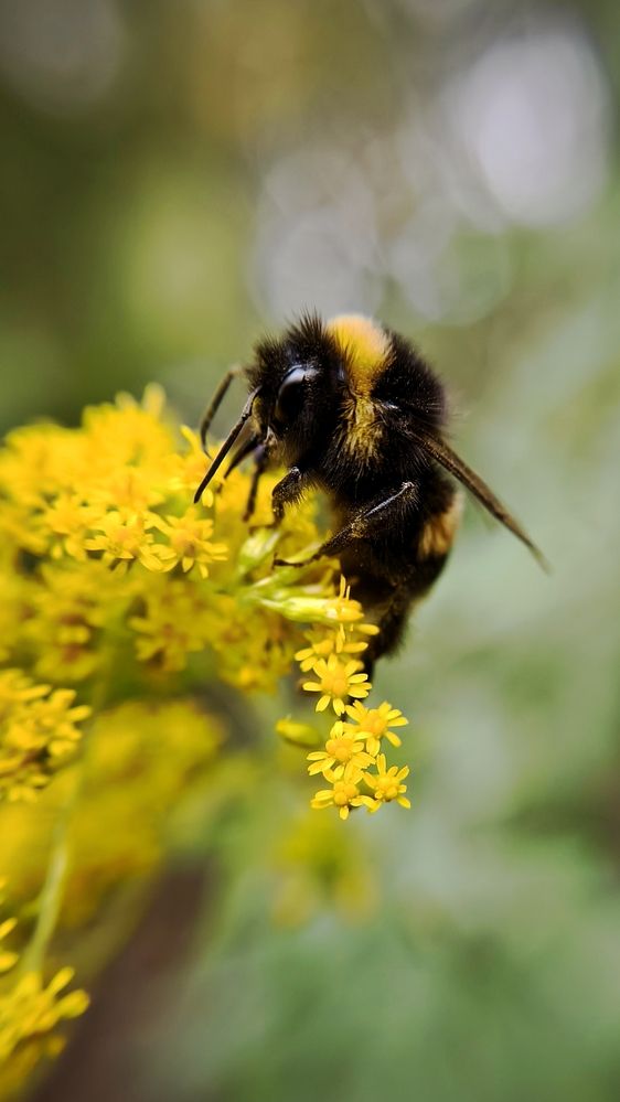 Photograph by Eugenia Blinova