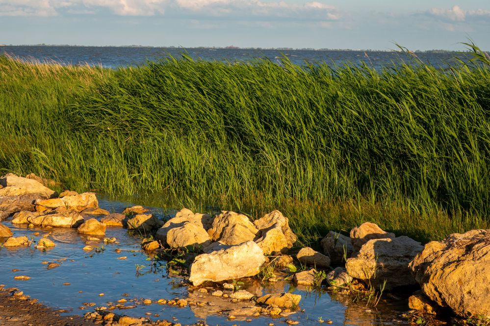 Photograph by Олег Алексеев