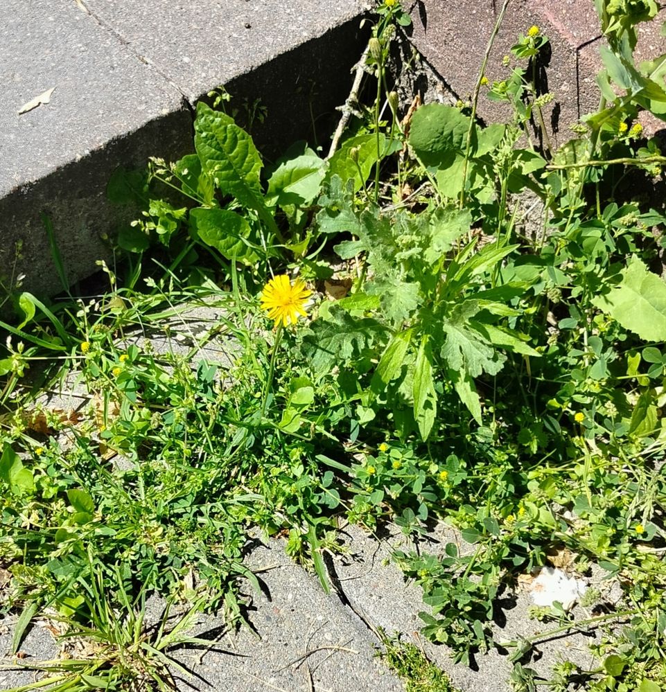 Фотография автора Наталья Драгун