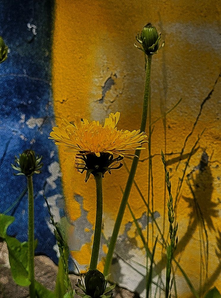 Photograph by Елена Иванова