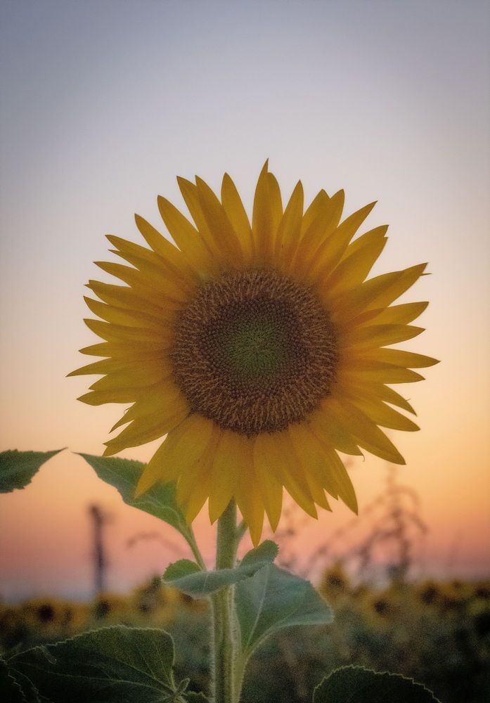 Photograph by Альберт Габбасов