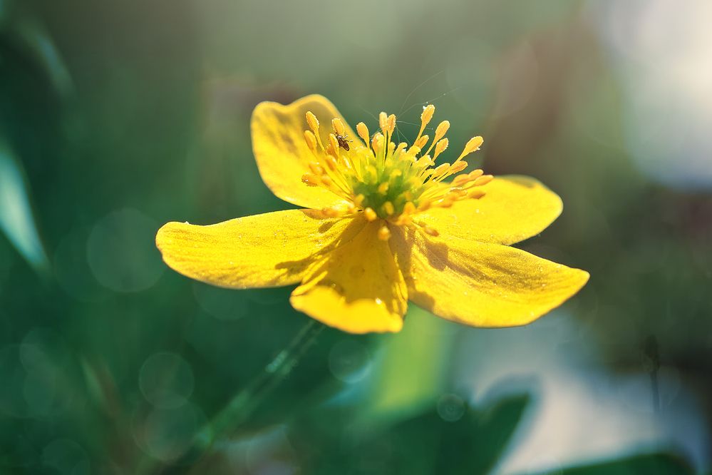 Photograph by Матюхина Наталья