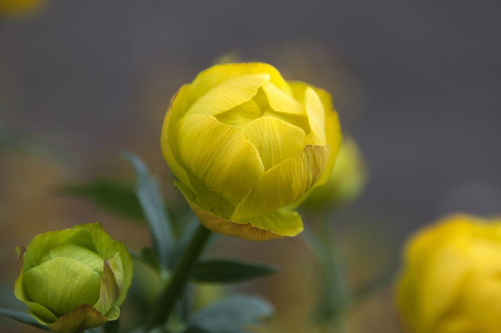 Photograph by Галина Щипакина