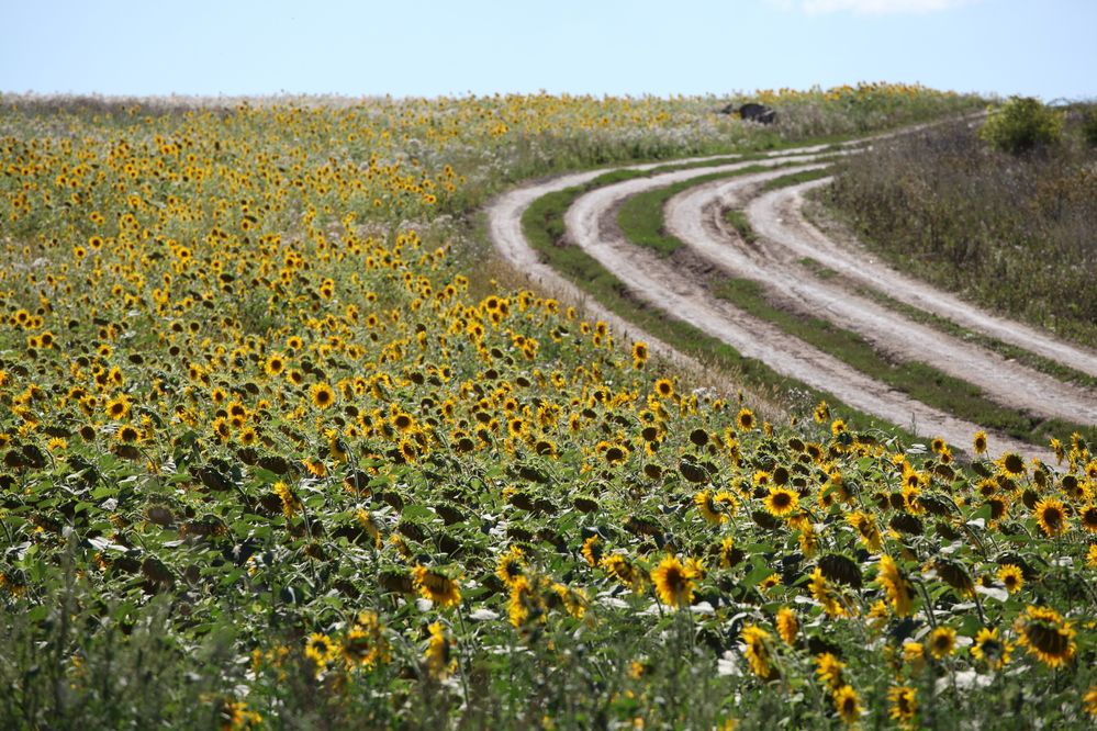 Photograph by Светлана Шубина