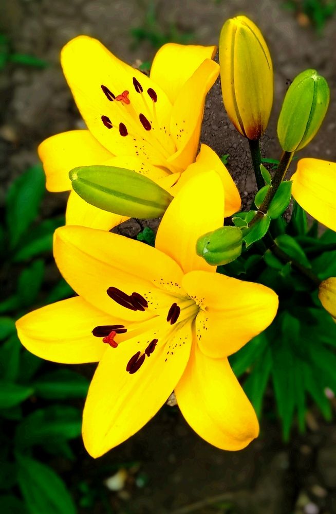 Photograph by Наталья Назаренко