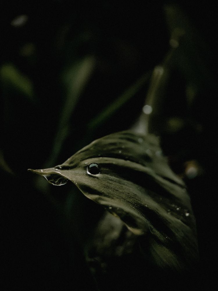 Фотография автора Алиса Исаева