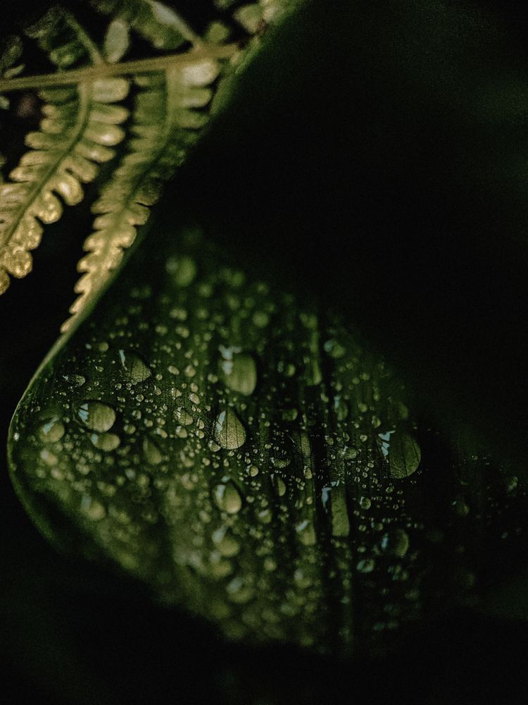 Фотография автора Алиса Исаева