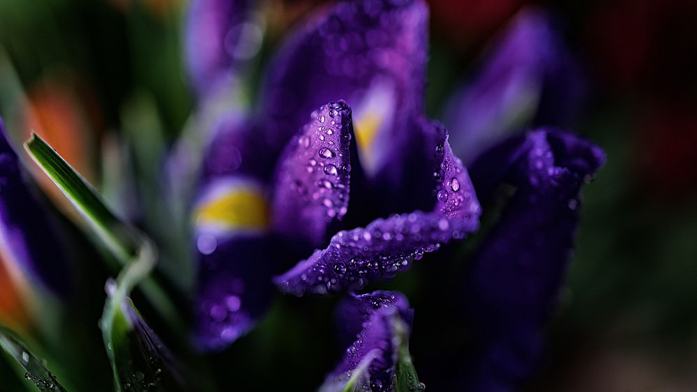 Photograph by Михаил Силантьев