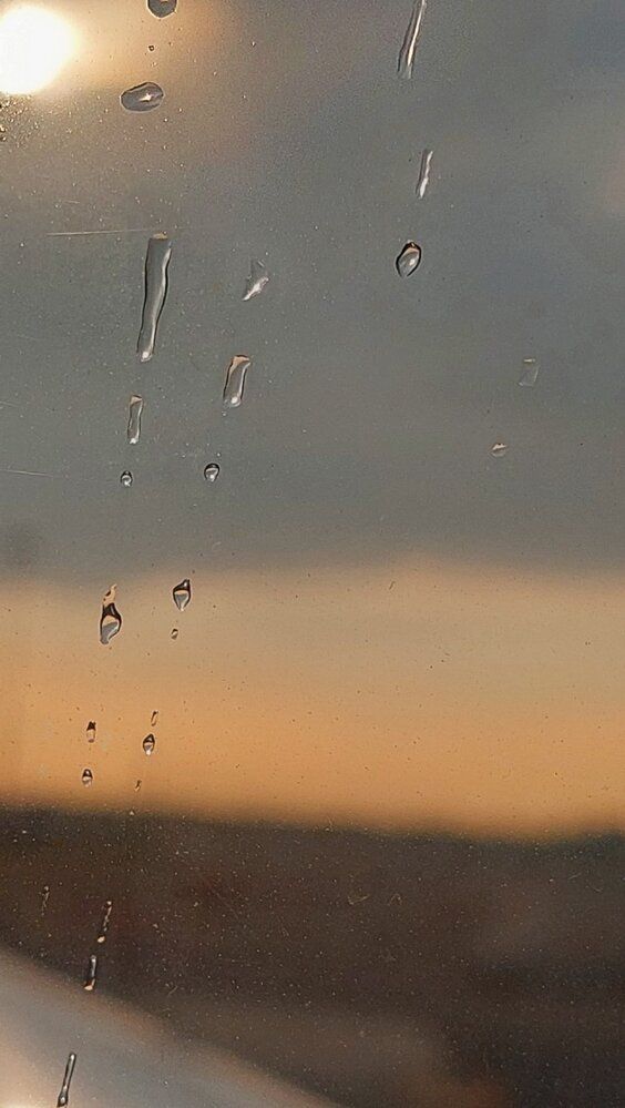 Photograph by Svitlana Usatenko