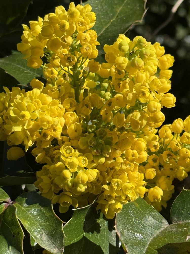 Photograph by Марина Дикманн