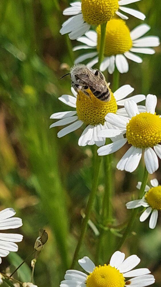 Photograph by Svitlana Usatenko