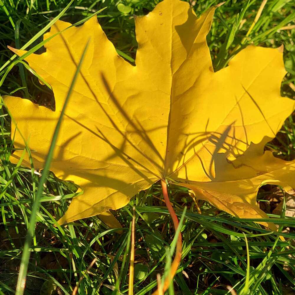 Photograph by Svitlana Usatenko