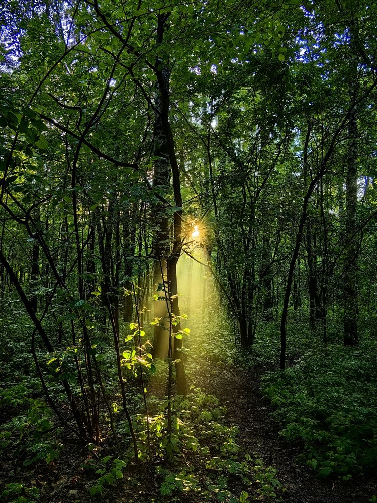 Photograph by Ярославна