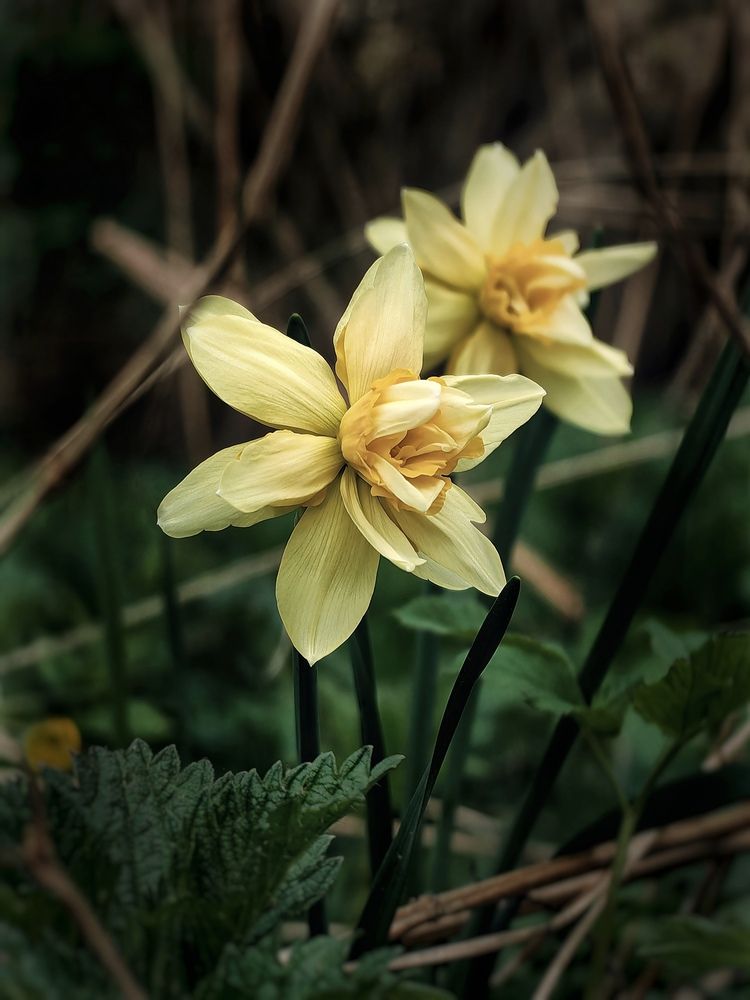 Photograph by Ярославна