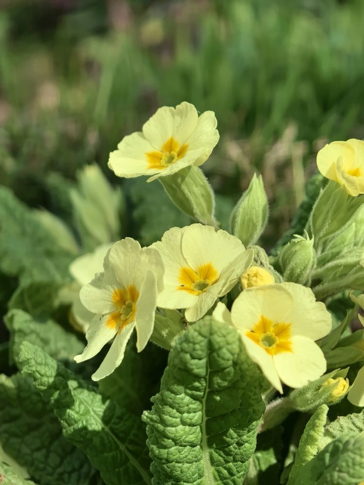 Photograph by Екатерина Борисовна Кузьмина