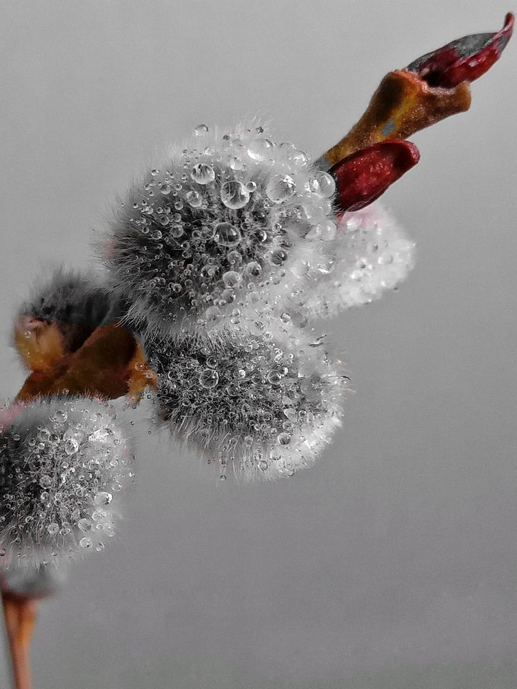 Photograph by Оксана Мельник