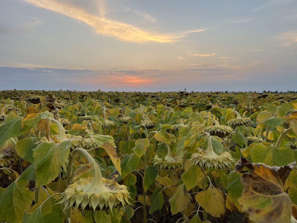 Photograph by Ярославна