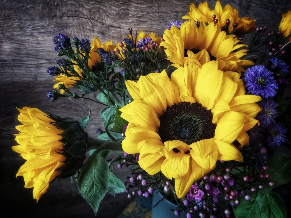 Photograph by Ярославна