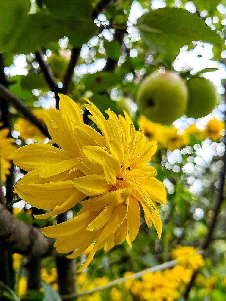 Photograph by Чкареули Светлана