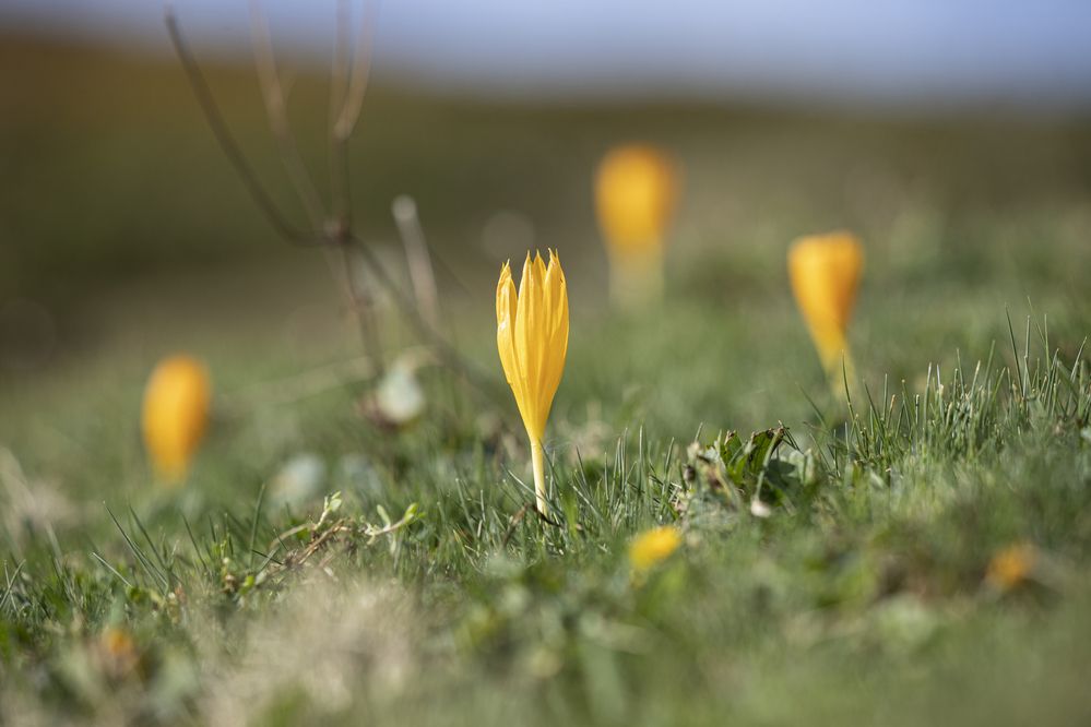 Photograph by Максим Мураков