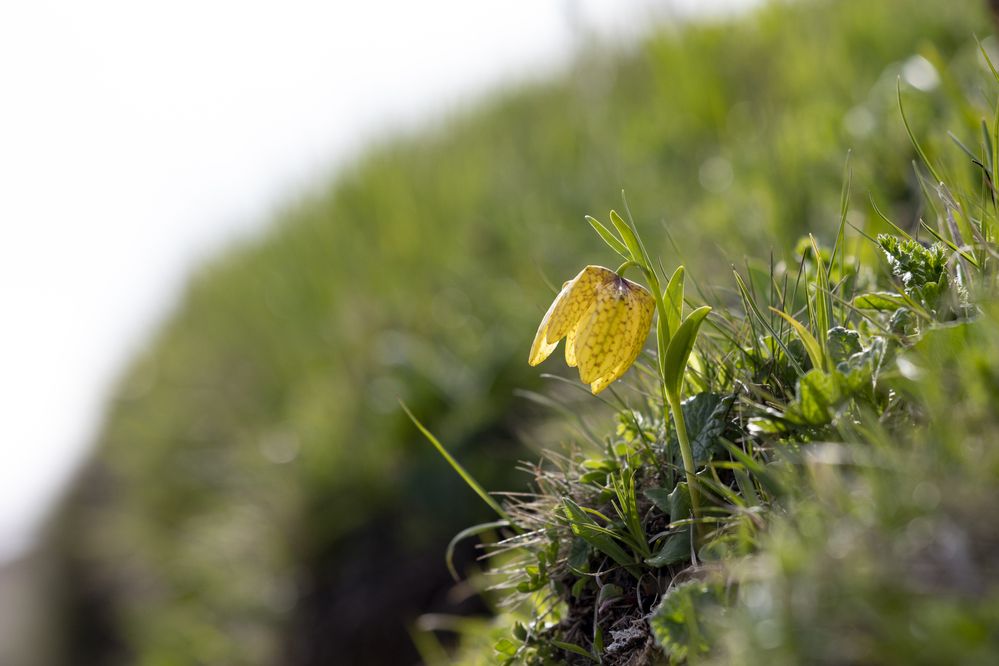 Photograph by Максим Мураков