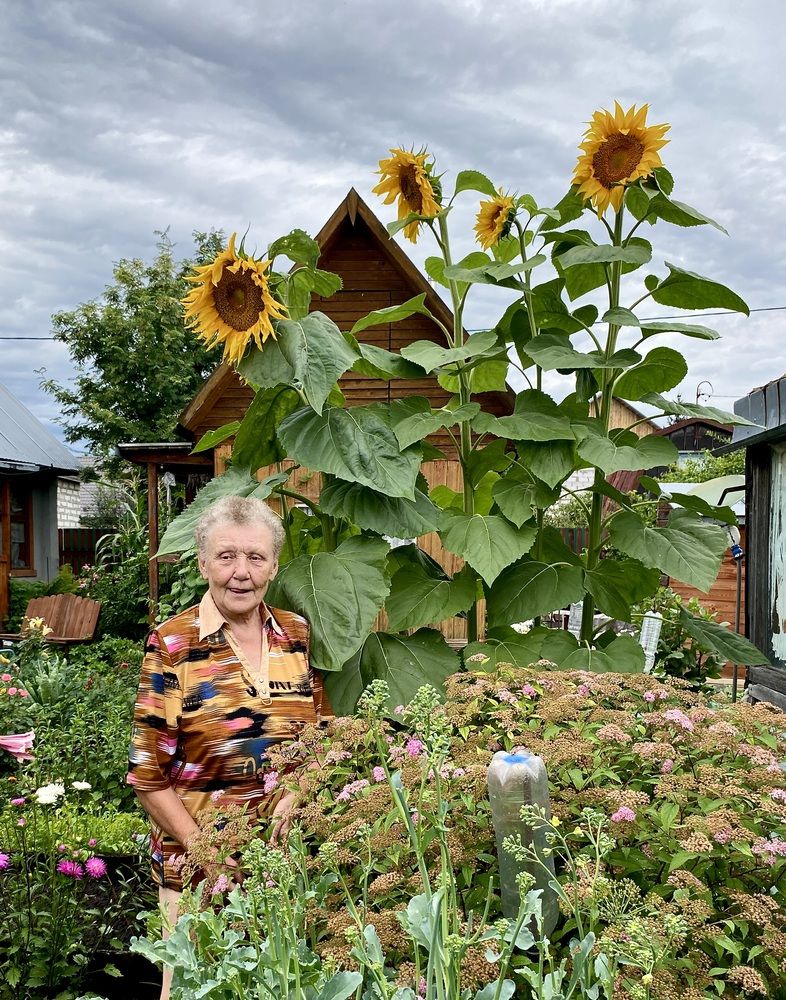 Photograph by Татьяна Шитлина