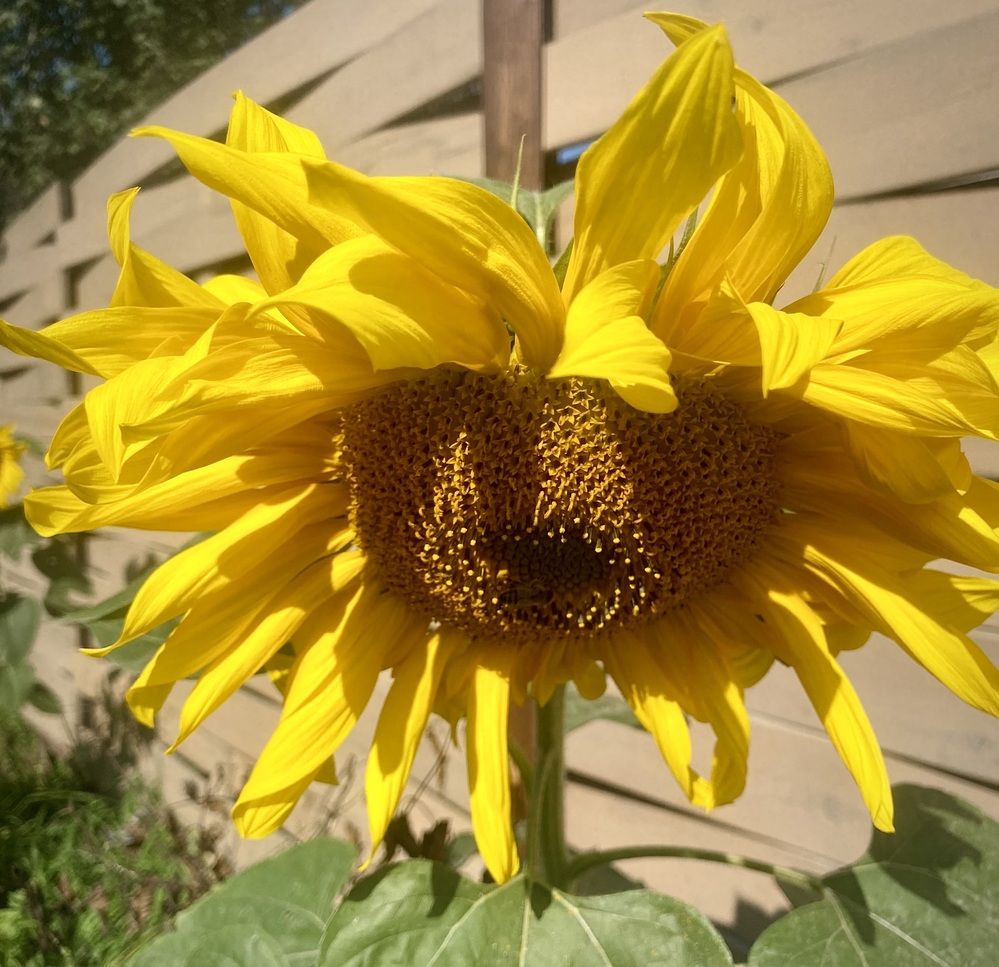 Photograph by Татьяна Шитлина