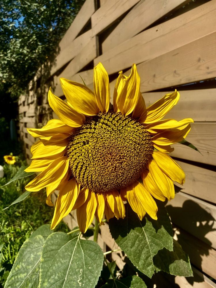 Photograph by Татьяна Шитлина