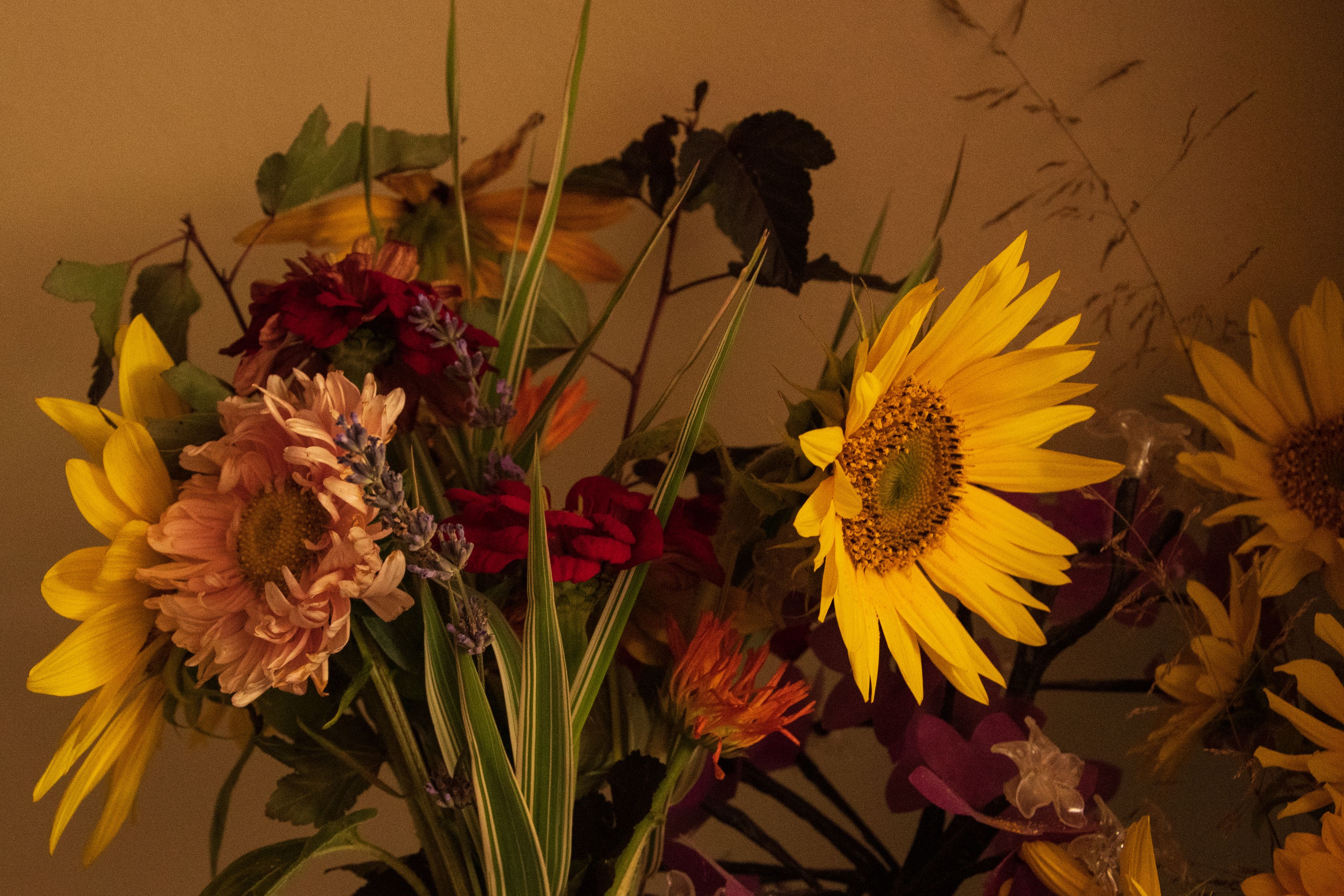 Photograph by Ксения Малютина