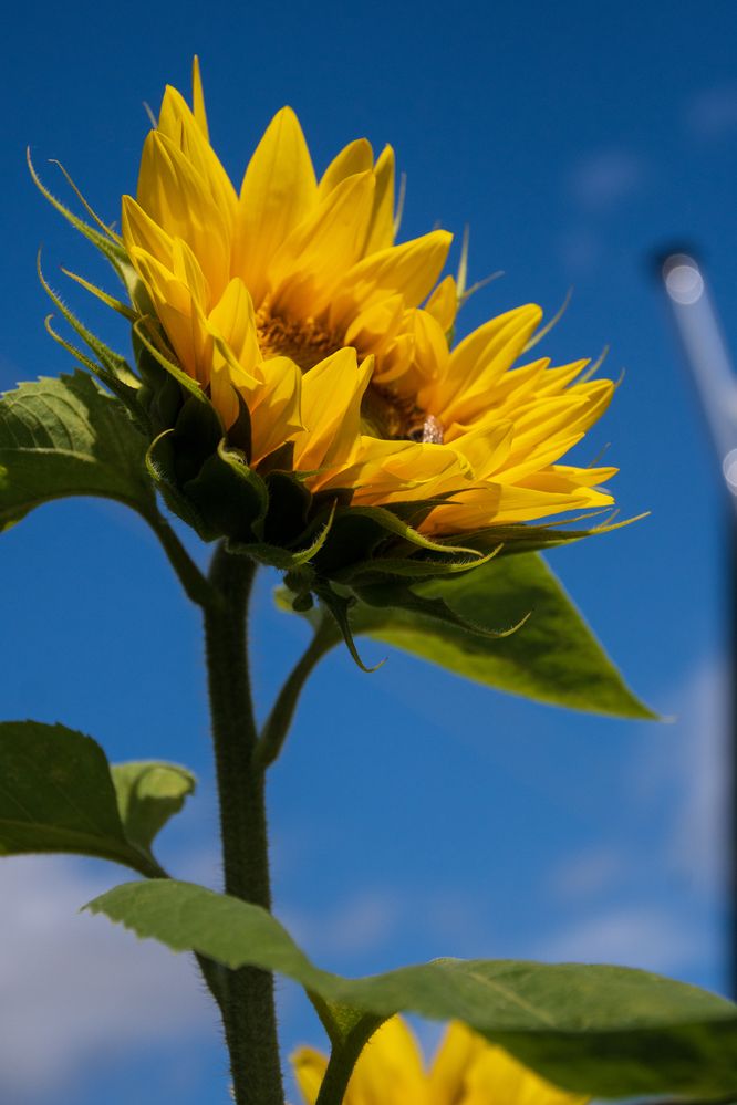 Photograph by Ксения Малютина