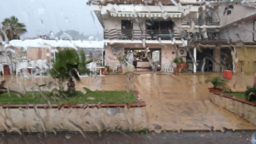 Photograph by Владимир Гречанинов