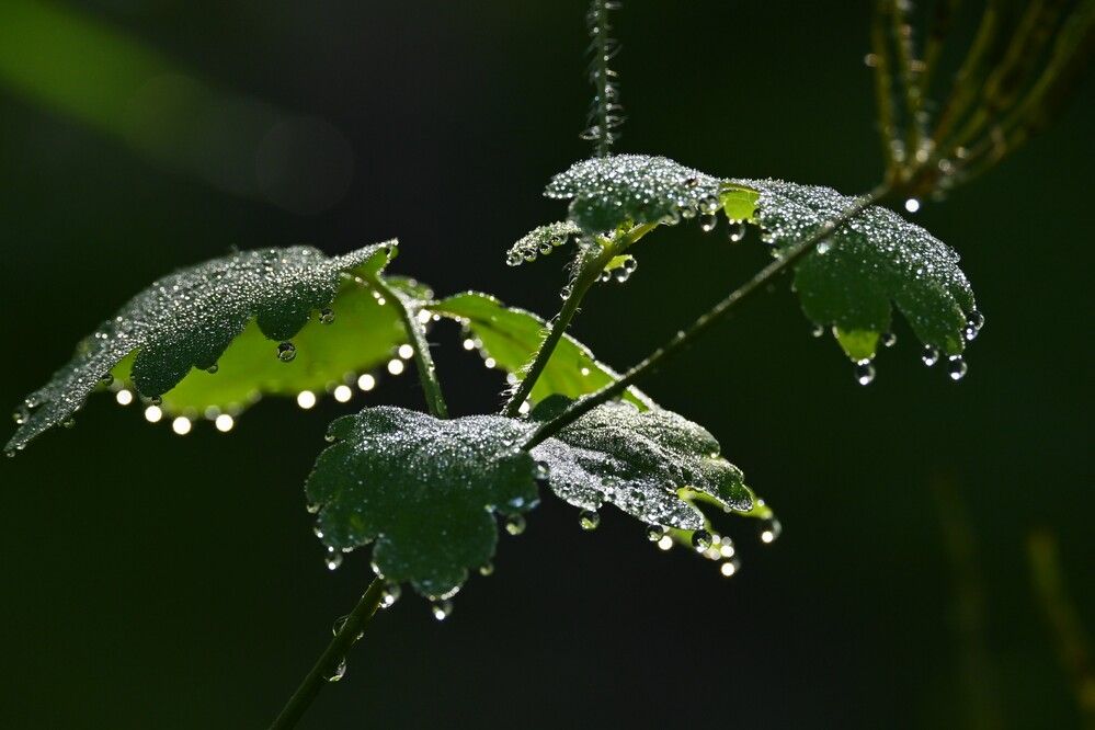 Фотография автора IRINA FILIPPOVA