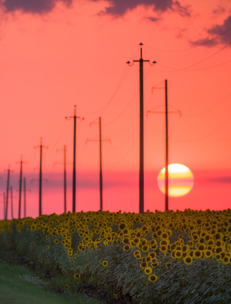 Photograph by Константин Яковлев