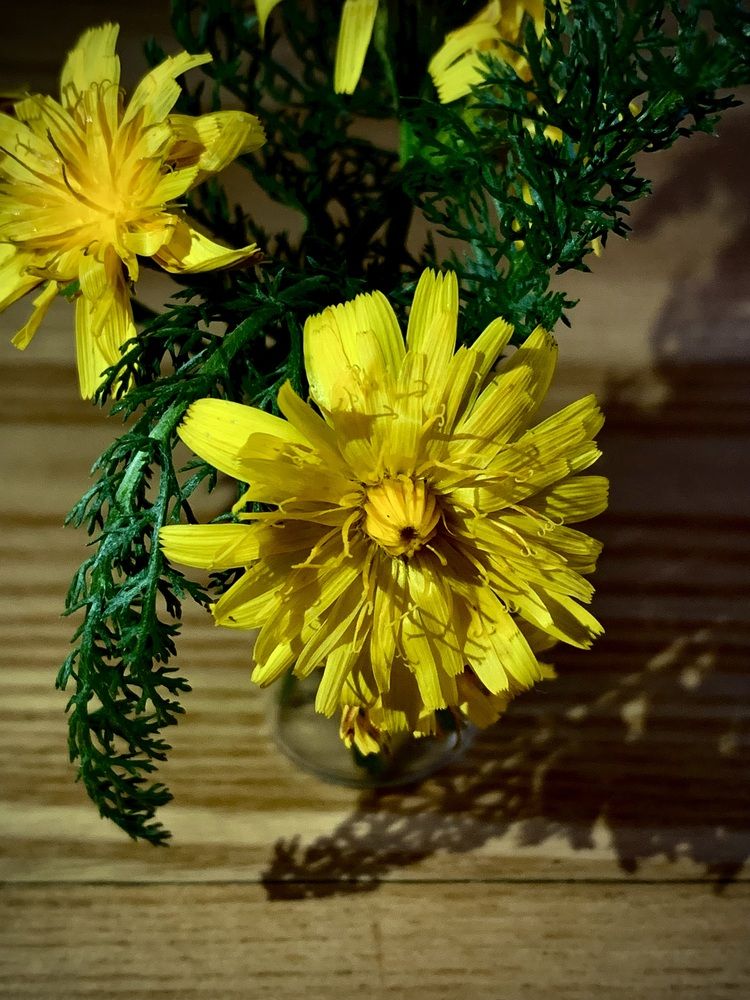 Photograph by Надежда Смирнова