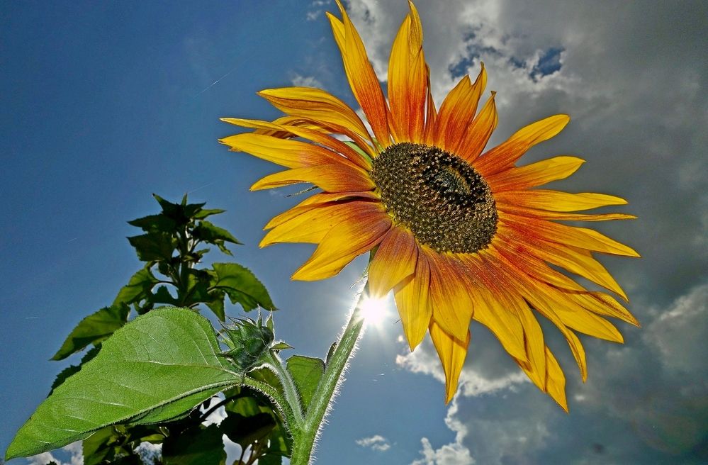 Photograph by Виктор Решетников