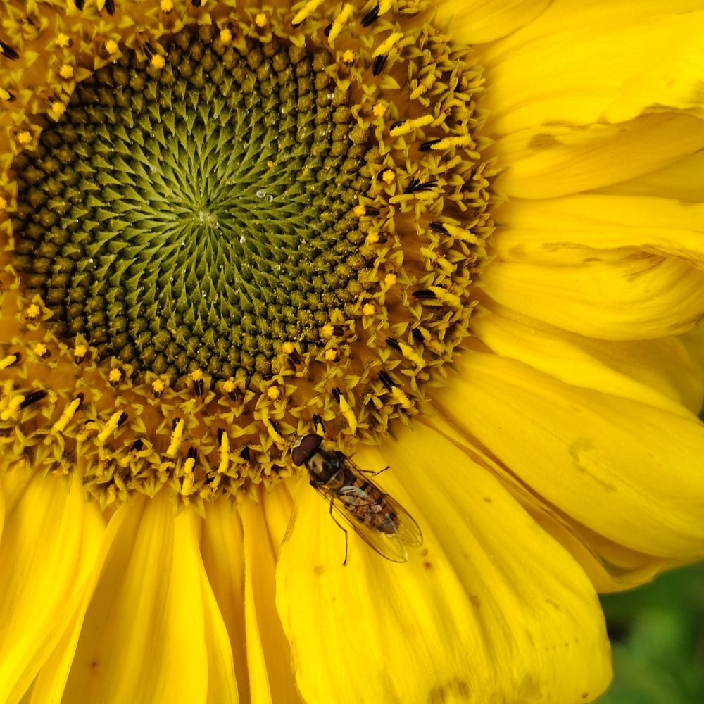 Photograph by Наталья Билай