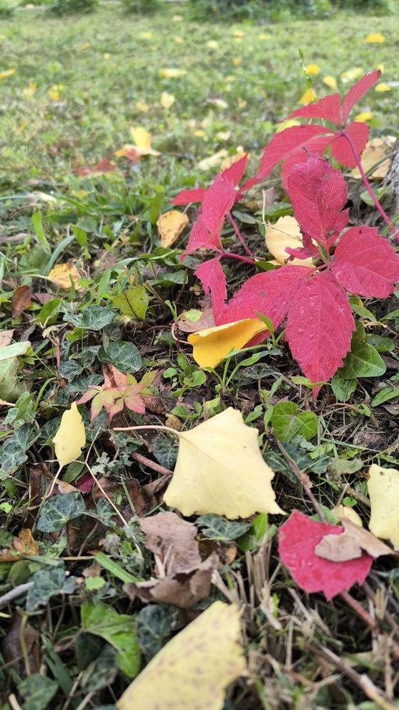 Фотография автора Курбан Курбаналиев