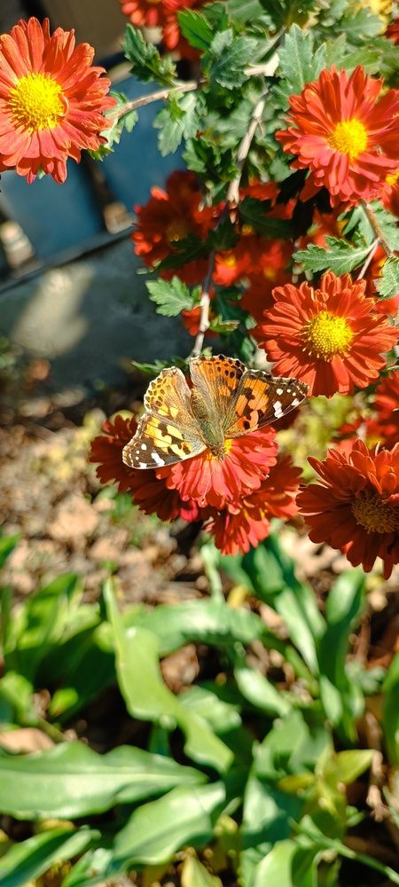 Фотография автора Курбан Курбаналиев
