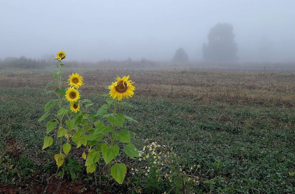 Photograph by Виктор Решетников
