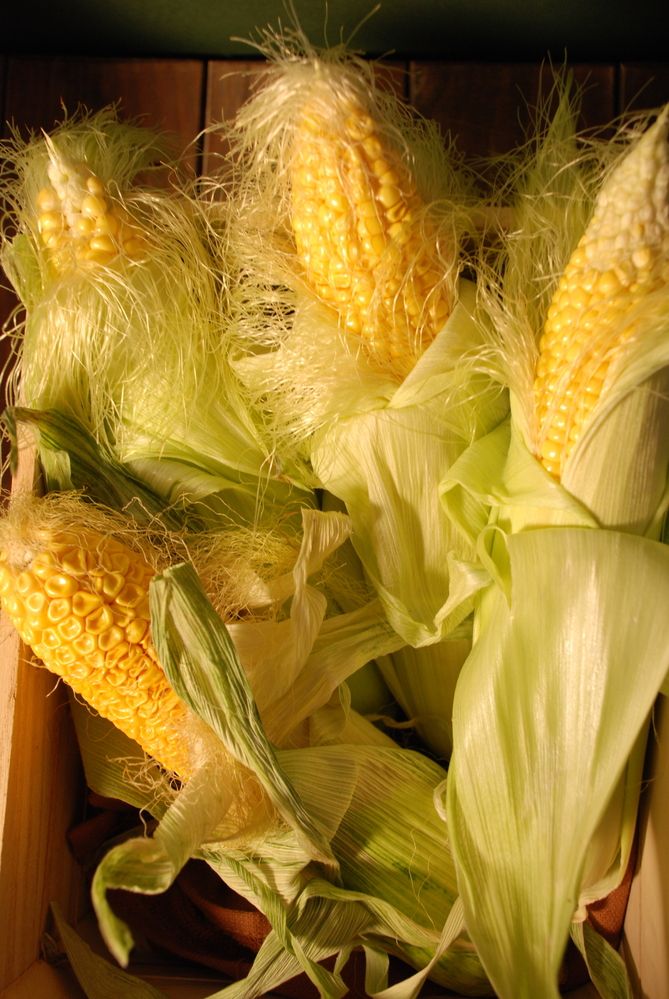 Photograph by Анна Невструева