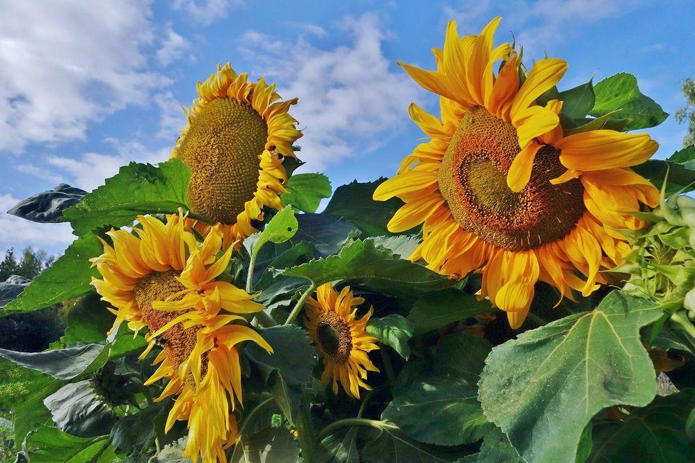 Photograph by Виктор Решетников