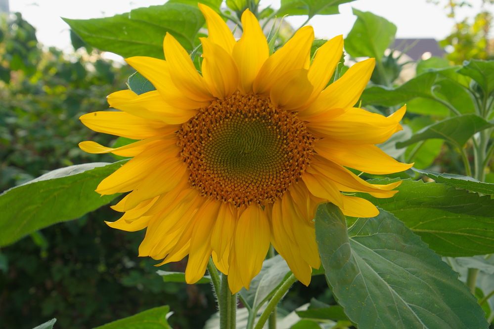 Photograph by Василий Быстрицкий