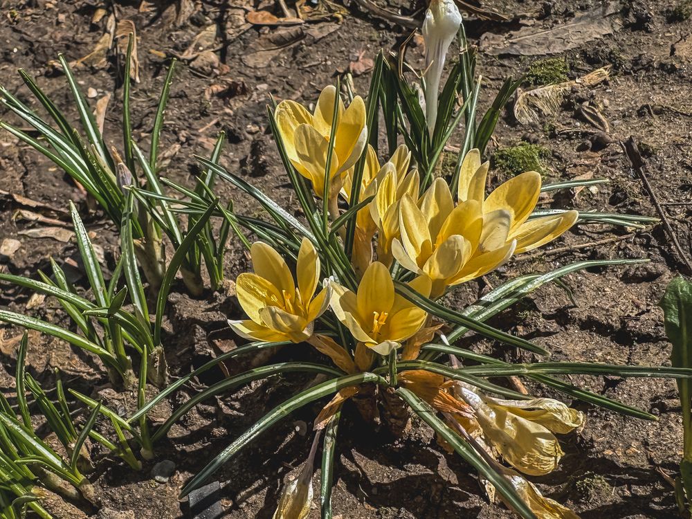 Photograph by Мария Шамина