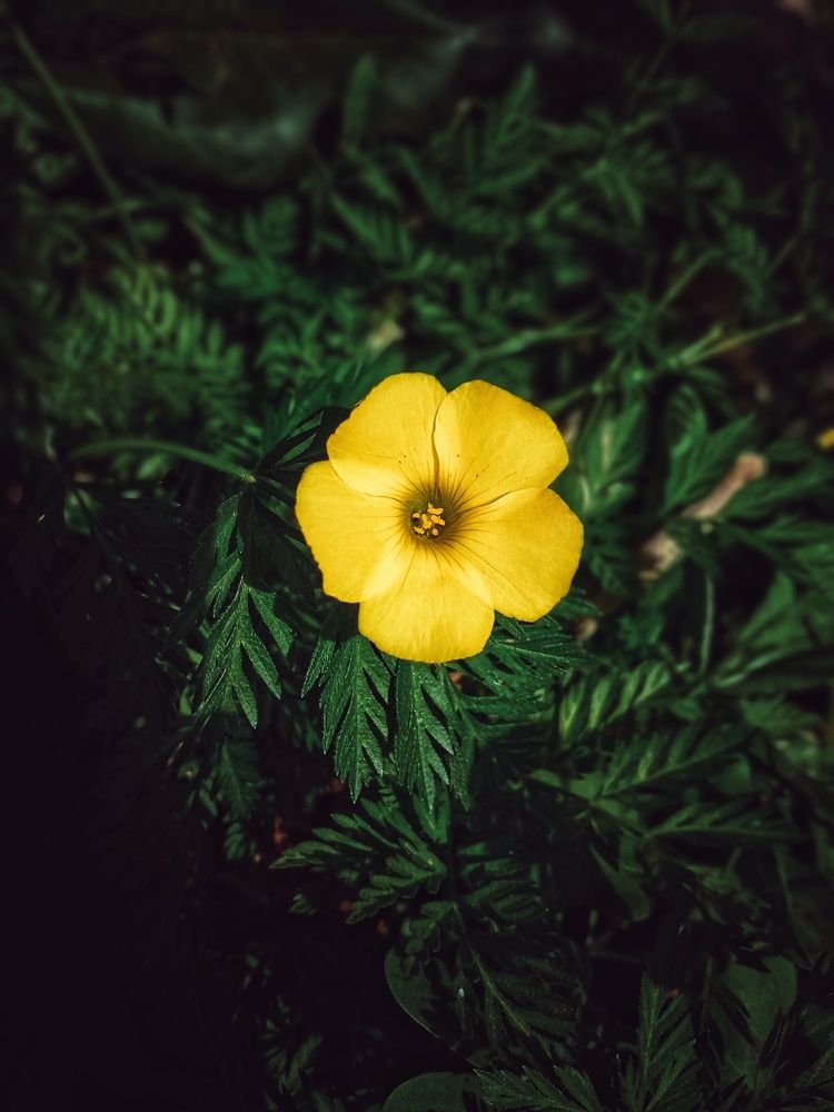 Photograph by Sara Bounab