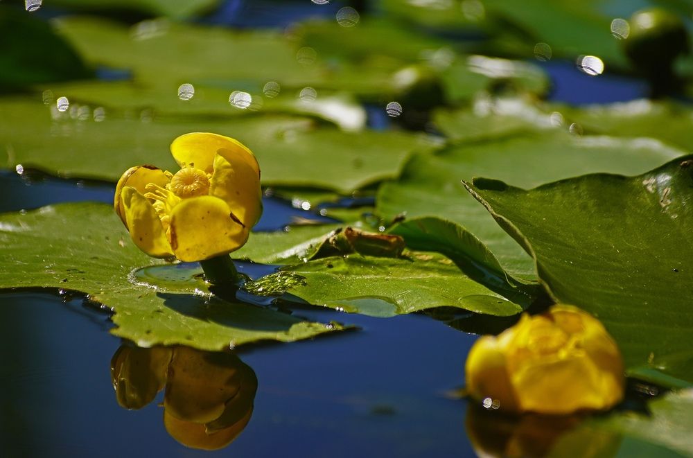 Photograph by Анна Васильева
