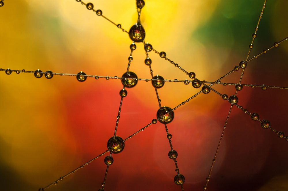 Photograph by Николай Захаров