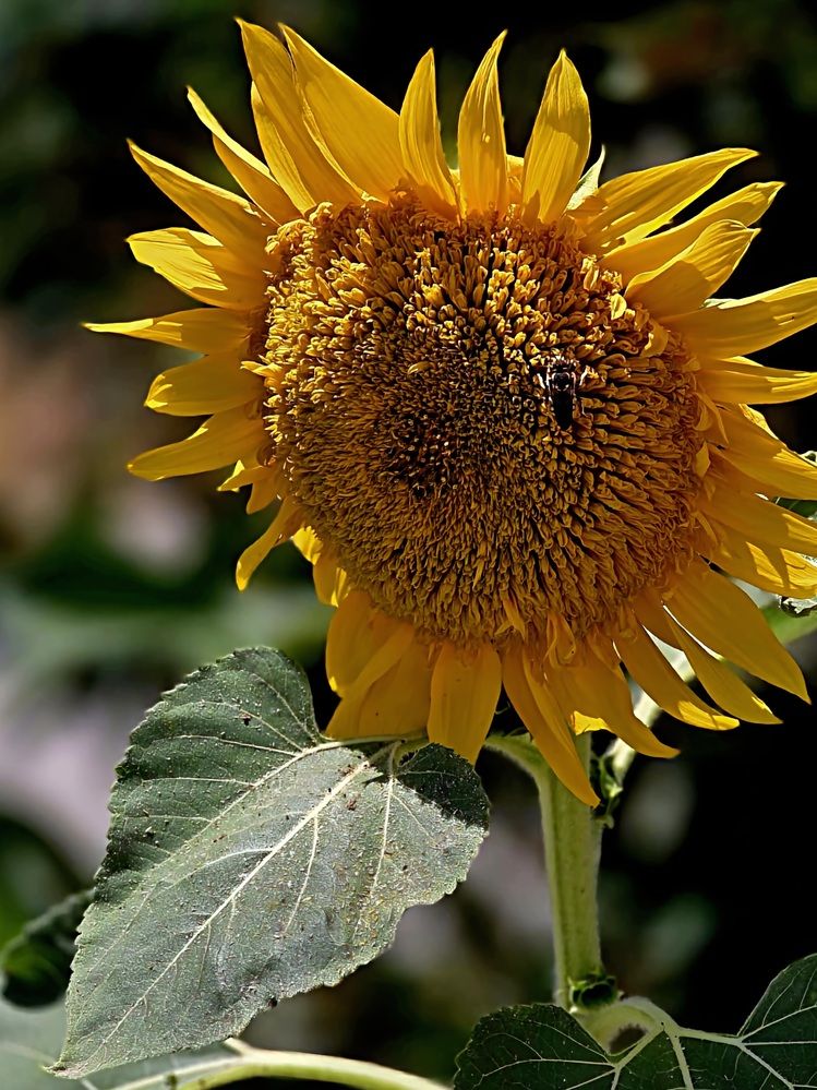 Photograph by Куделенко Оксана