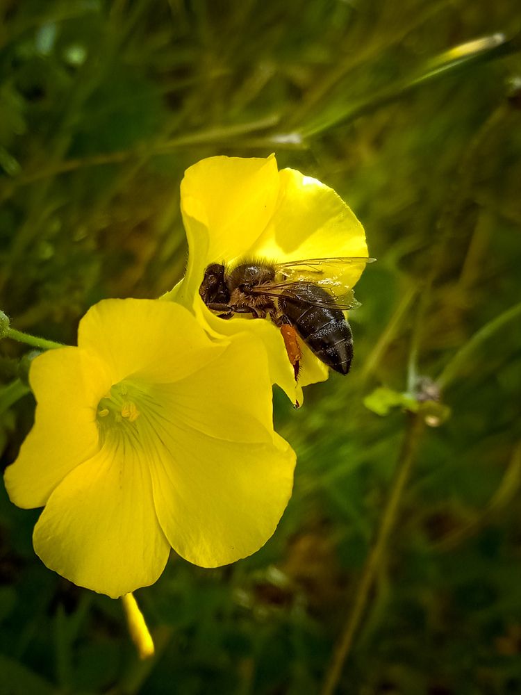 Photograph by Sara Bounab